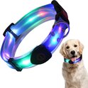 Un golden retriever portant un collier LED lumineux multicolore est couché à côté d'un grand collier identique.