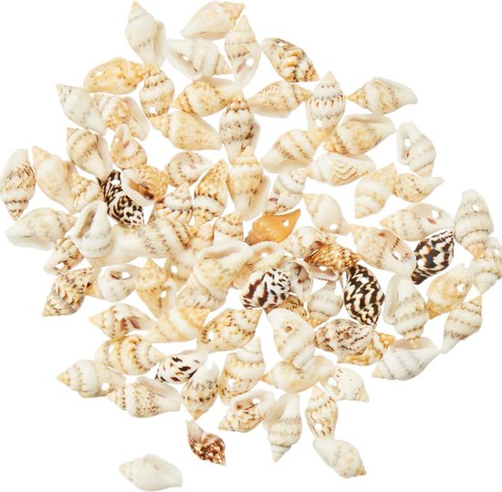 PH PandaHall 120 stuks 8 stijlen schelpen hangers schelpen acryl