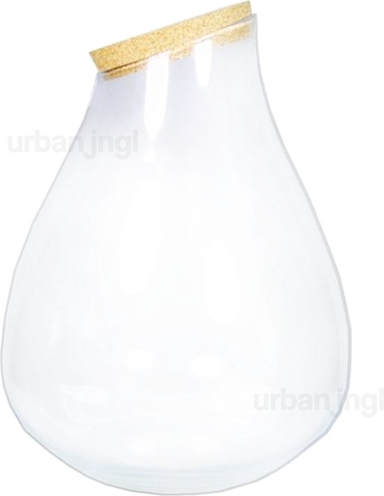 Terrarium Flasche 'Drop XL' Mit Korken - Geschlossenes Terrarium 29