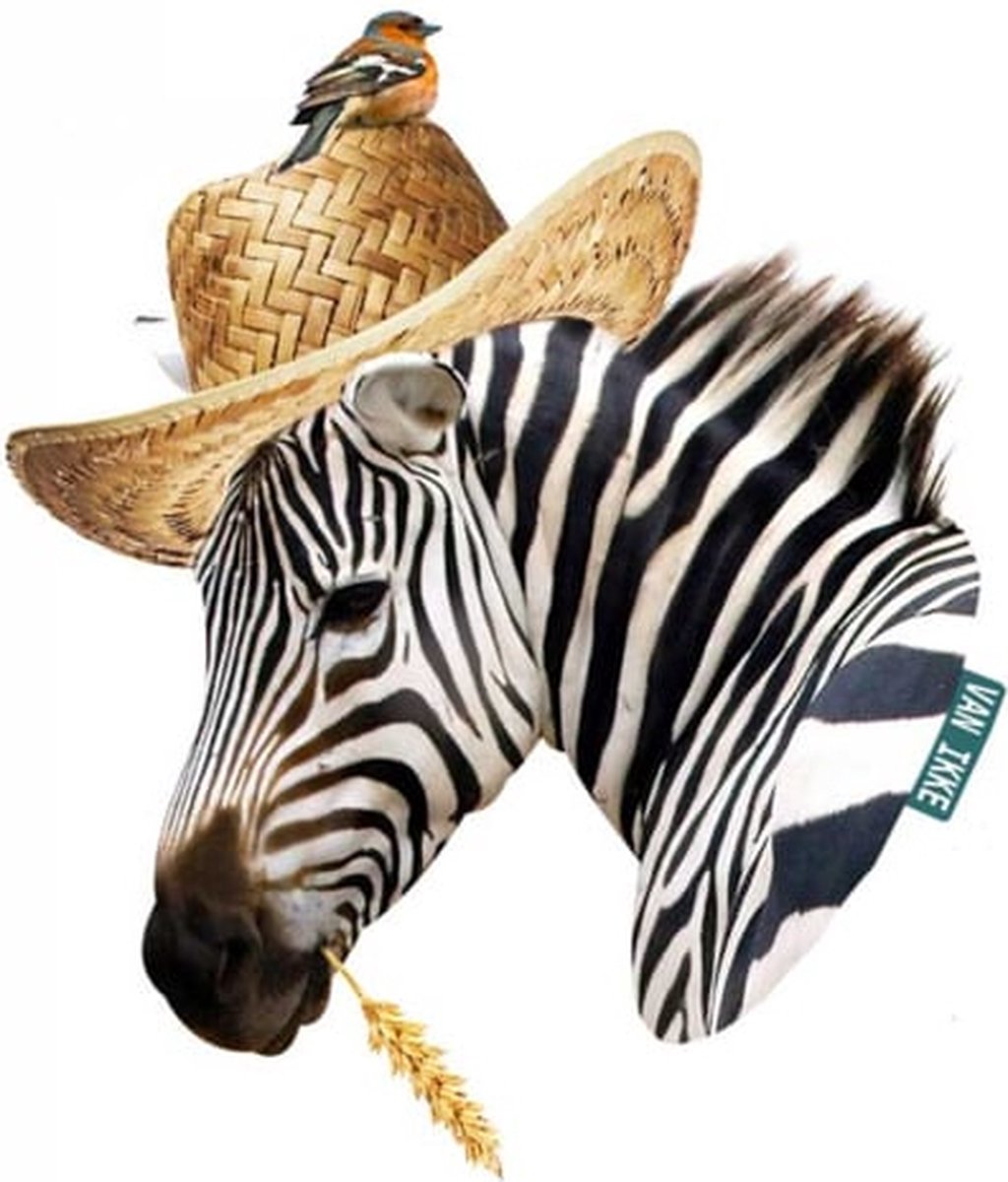 Muursticker Zebra met hoed