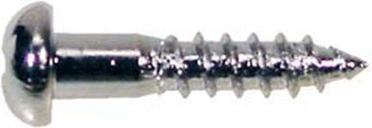 Boston WS-02-N Dome Head Schroeven 2,1x10mm - 12 Stuks, Nikkelafwerking