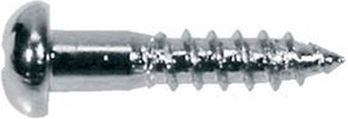 Boston WS-02-C Domekop Schroeven 2,1x10mm - 12 Stuks Chrome