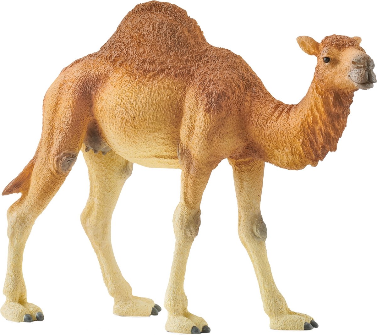 Schleich Wild Life Dromedaris: natuurgetrouw speelfiguur