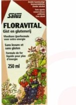 Salus Floradix Floravital - Vitaminen - Vegan ijzer-elixir met groente vruchten – Glutenvrij - 250ml