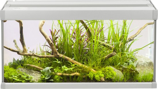 Akvastabil Family aquarium - 60x30x32 cm - 54L - Zilver