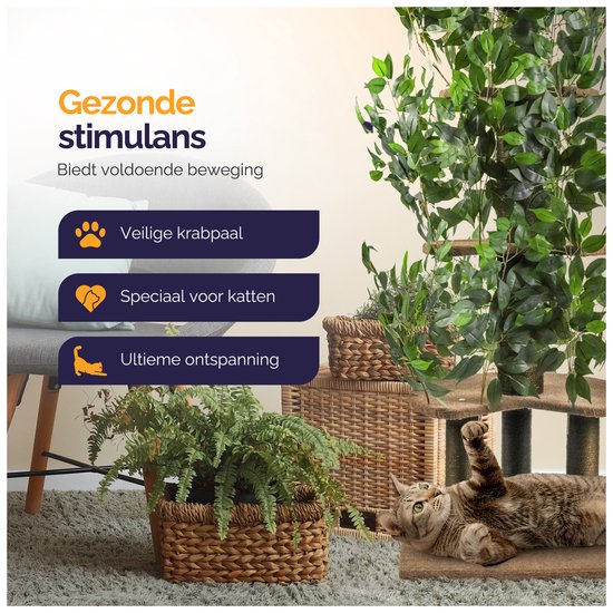 Kattenboom met groene bladeren. Een kat ligt op de grond, een andere kat zit op een stoel.