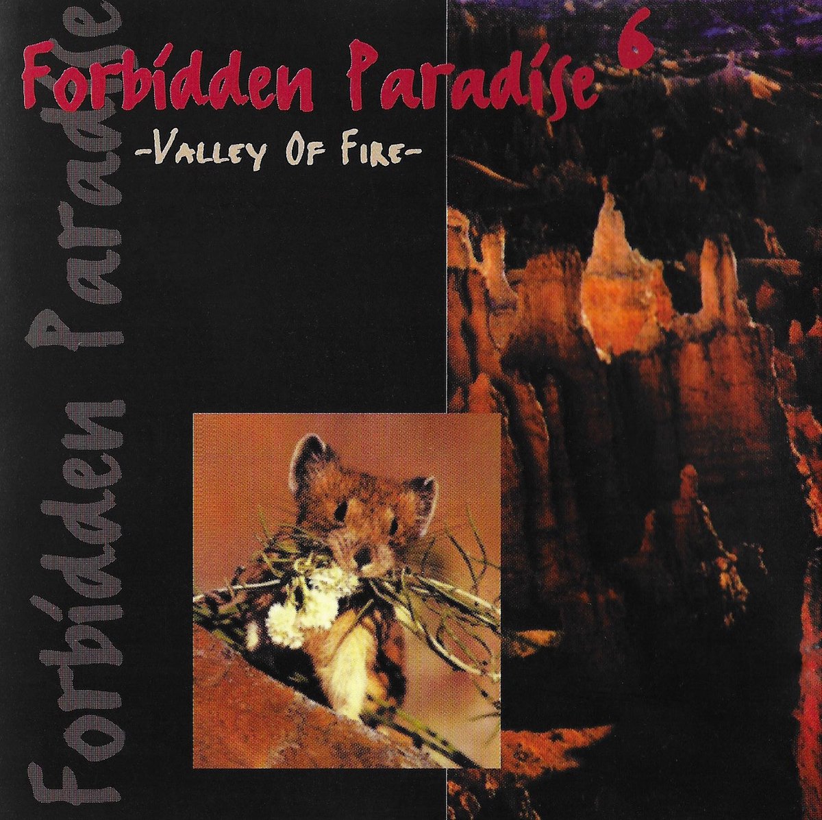Forbidden Paradise Vol. 6