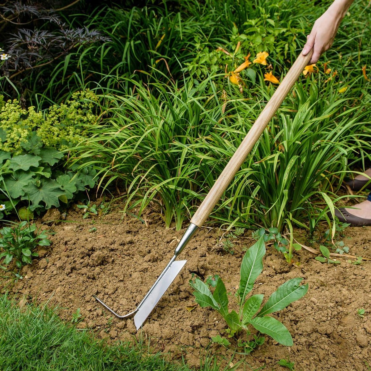 2-in-1 onkruidverwijderaar - lange steel roestvrij staal moskrabber - houten handvat - 157 cm