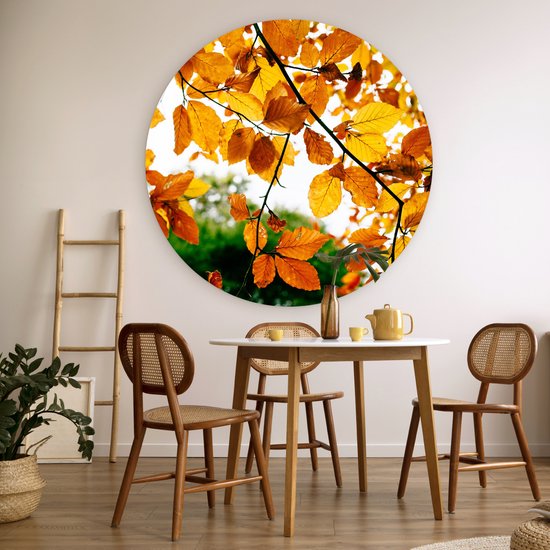 WallCircle - Wall Circle - Wall Circle Indoor - Feuilles d'Automne - Arbre - Rural - 120x120 cm - Décoration murale - Peintures Ronds XXL