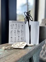Créations de Hier - Fleur de naissance avec coeur en bois - Iris - Février - MDF Zwart - Bois