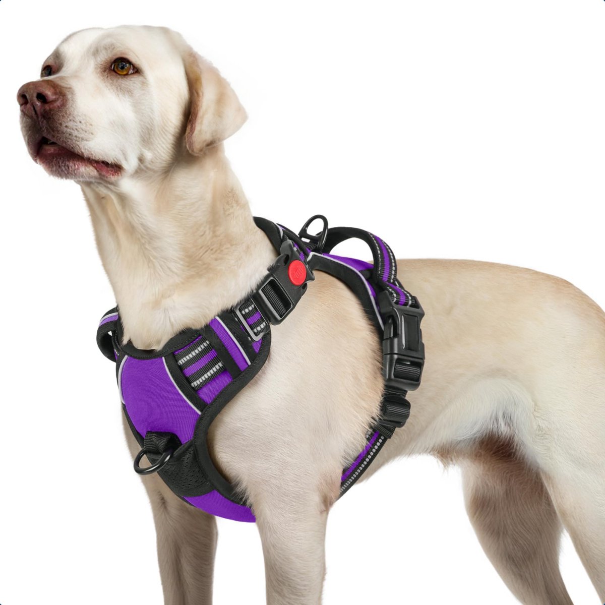 Bol.com JAXY Hondenharnas - Hondentuig - Hondentuigje Kleine Hond - Y Tuig Hond - Harnas Hond - Anti Trek Tuig Hond - Reflectere... aanbieding