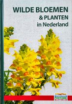 Wilde Bloemen & Planten in Nederland met Veldgids