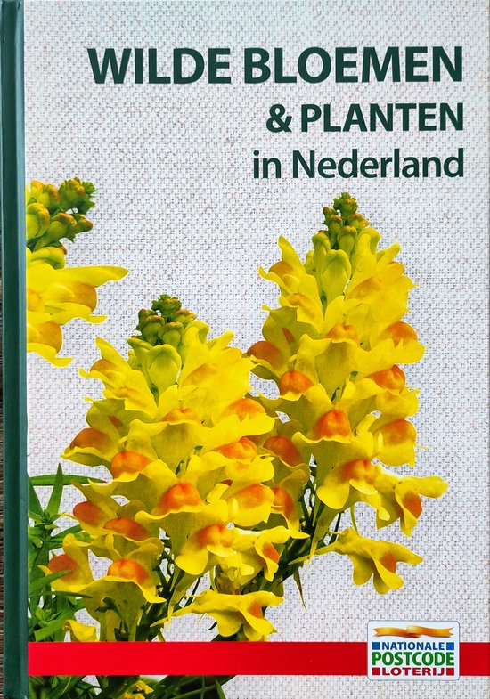 Wilde Bloemen & Planten in Nederland met Veldgids