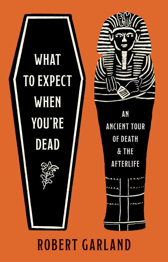 What to Expect When You're Dead - cover
