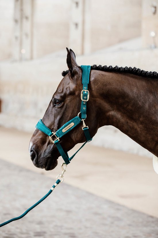 Licol Pour Cheval Tory Avec Corde De Plomb – Neuf