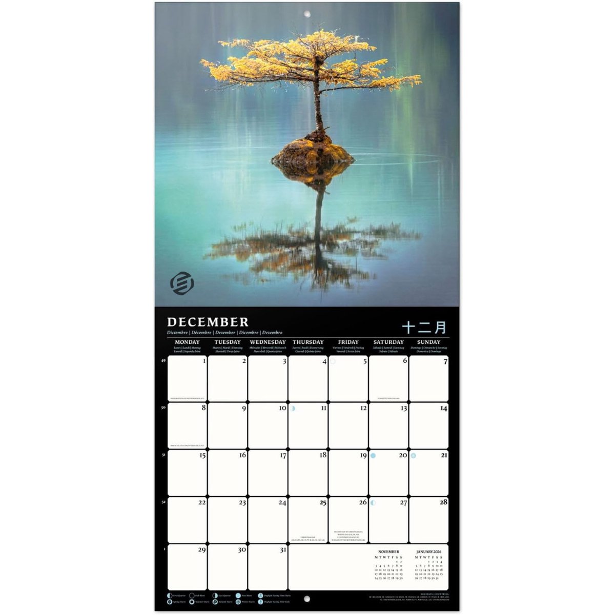 Equivera Jaarkalender 2025 - Maandkalender - Jaar Kalender - Jaarkalender - Jaarplanner - Kalender 2025