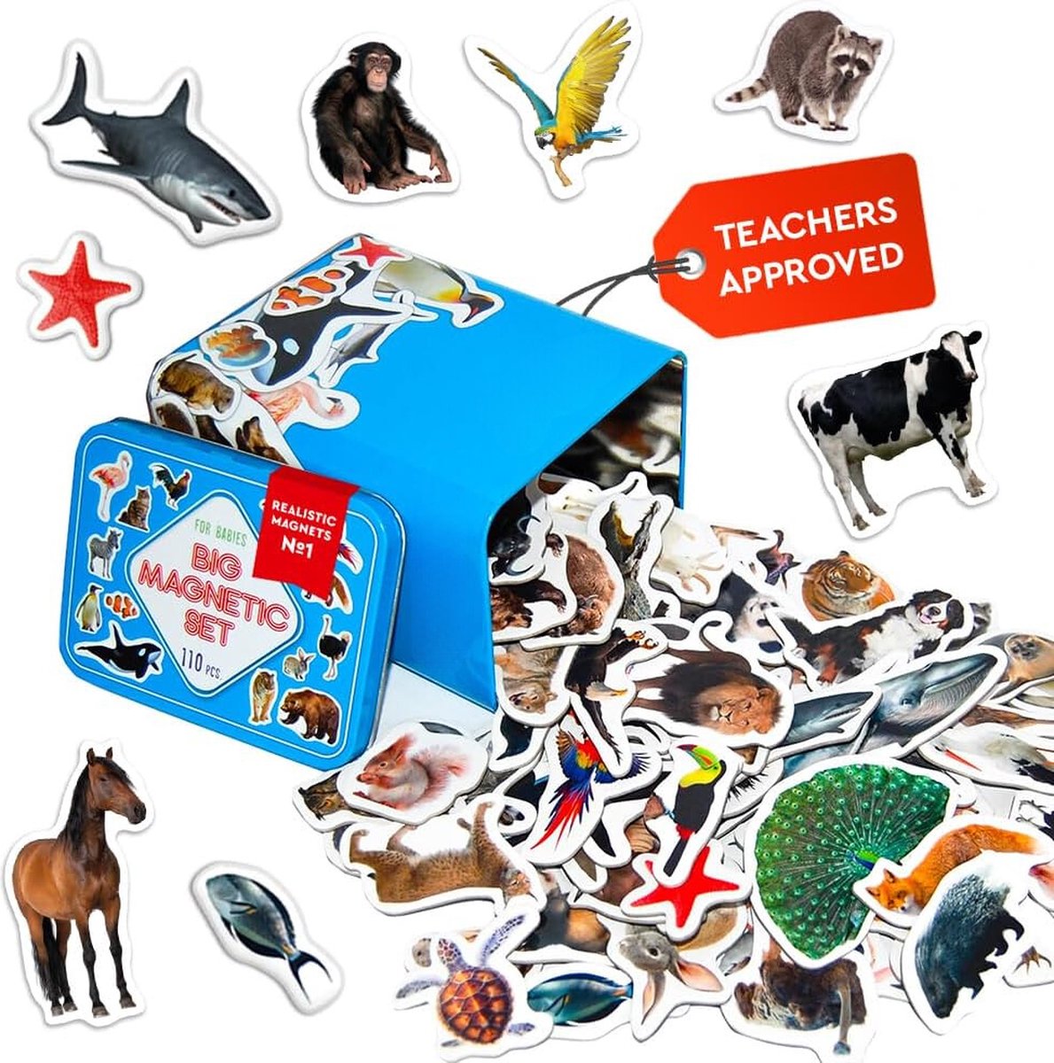 Solacis Magneet speelgoed - Magneetspeelgoed - Magneet speelgoed constructie - Magneet speelgoed bouwen blokken - Must have!