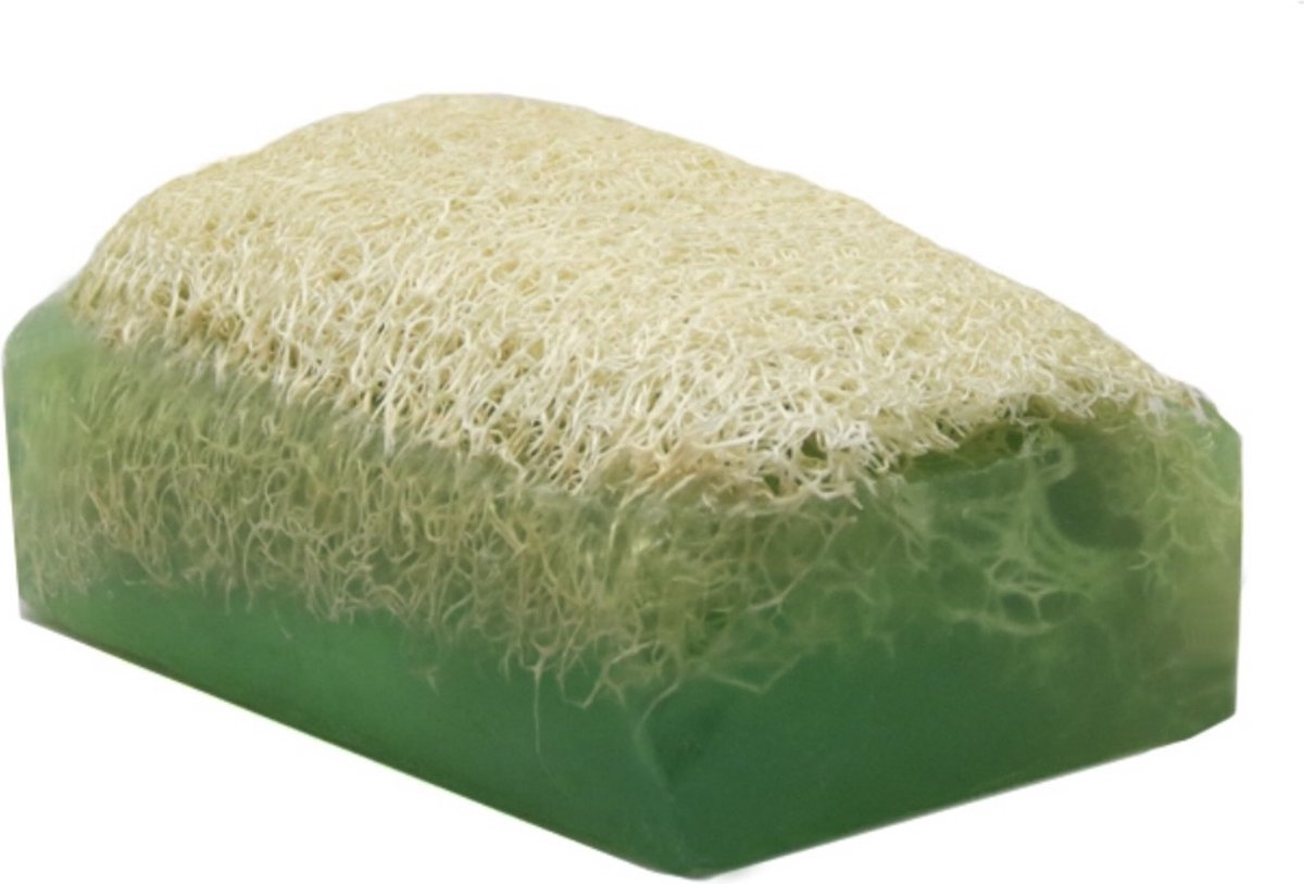 Goedkoopste Natuurlijke pompoenvezel Aloë Vera zeep - 100 Handmade - Loofah Soap