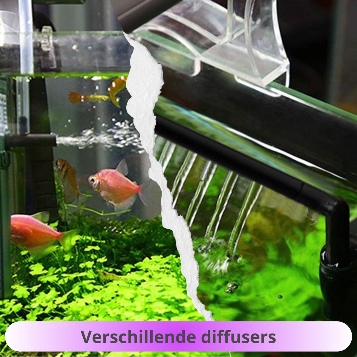 AquaKonings Aquariumfilter 1000L/H 150L-250L thumbnail 5