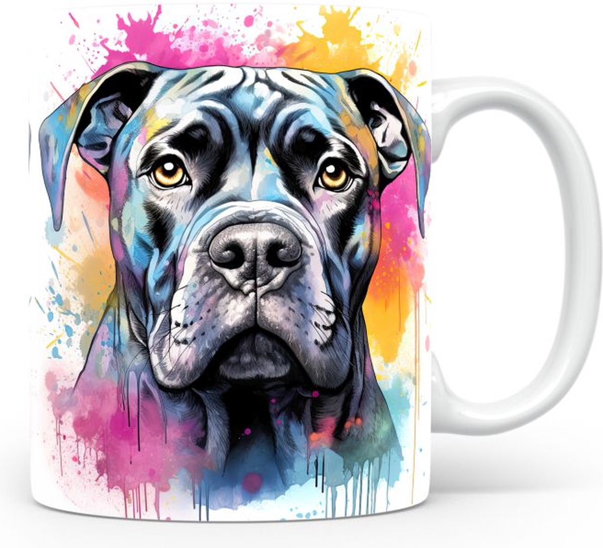 Mok met Cane Corso
