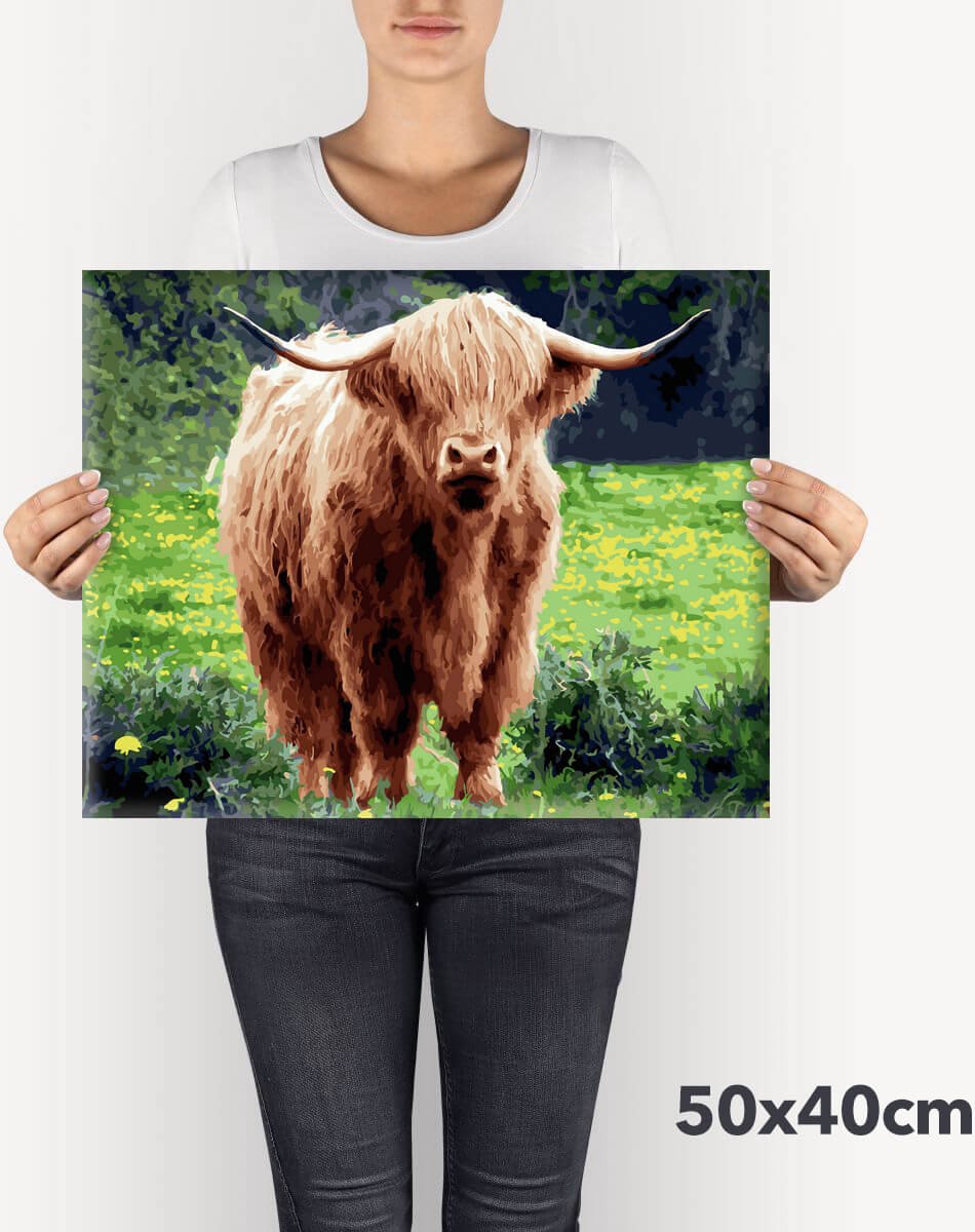 Schilderen Op Nummer Volwassenen DIY Paint By Number Compleet Hobby Pakket op Frame met Vernis Scottisch Highlander - ®Arty Bee - Schotse Hooglander Deluxe 50x40cm — afbeelding 4