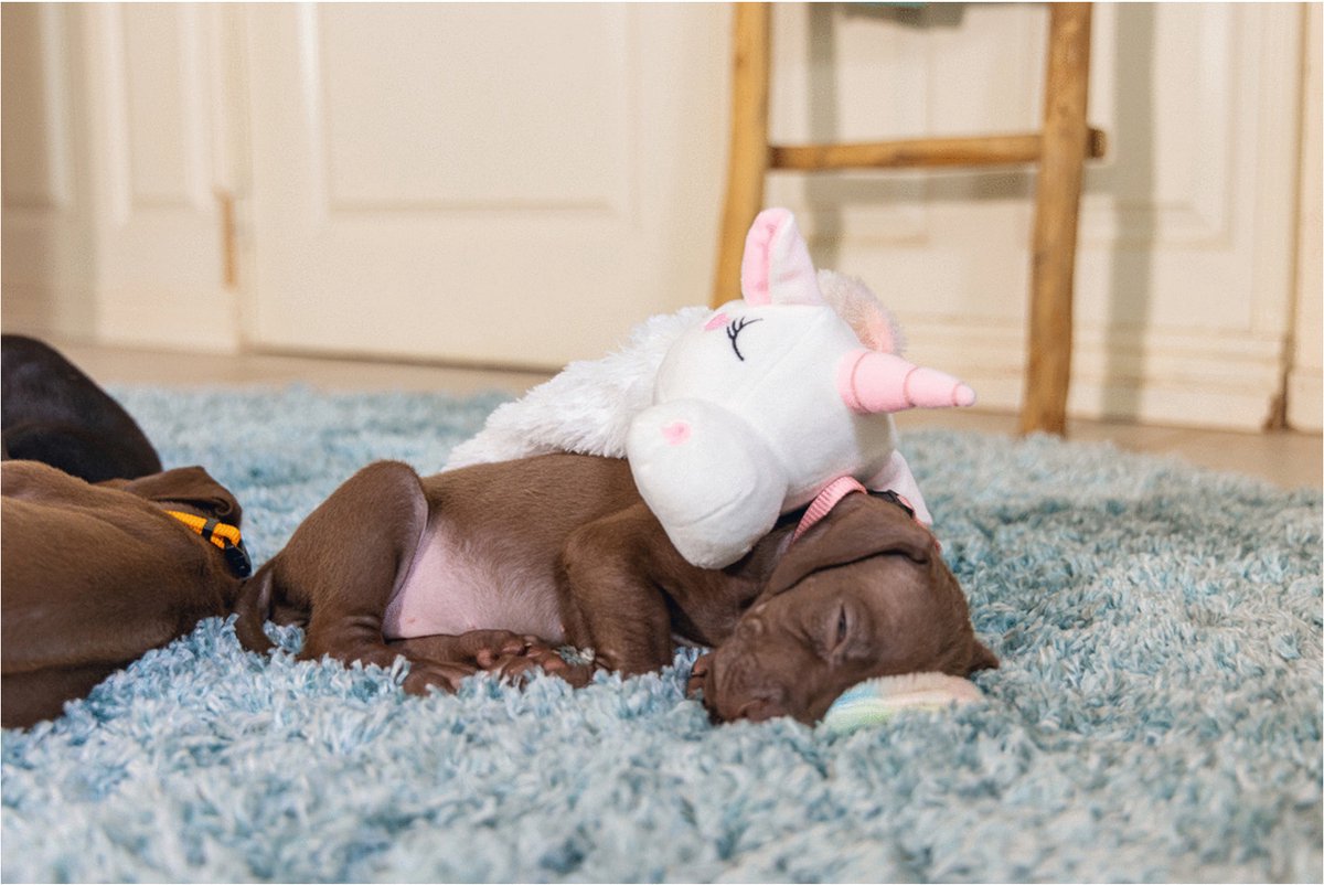 Beeztees Puppy Flatino Unicorn Lo - Puppy Speelgoed - Puppyknuffel - Hondenspeelgoed - Wit 49x10x14 cm - Hond thumbnail 4