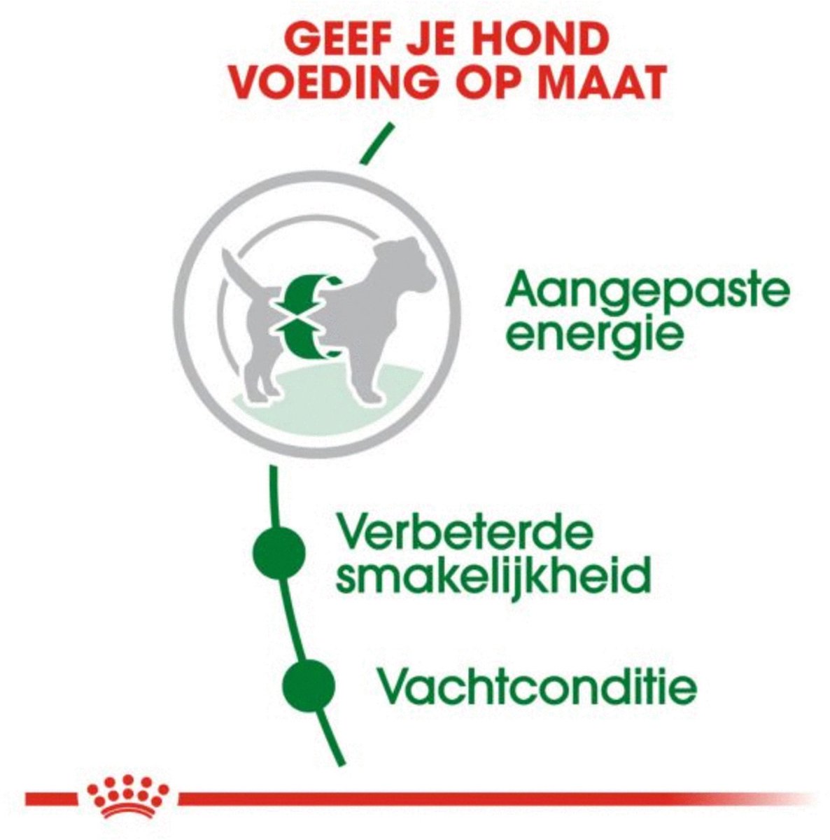 Royal Canin Mini Adult - Hondenvoer - 8kg + 1kg thumbnail 5