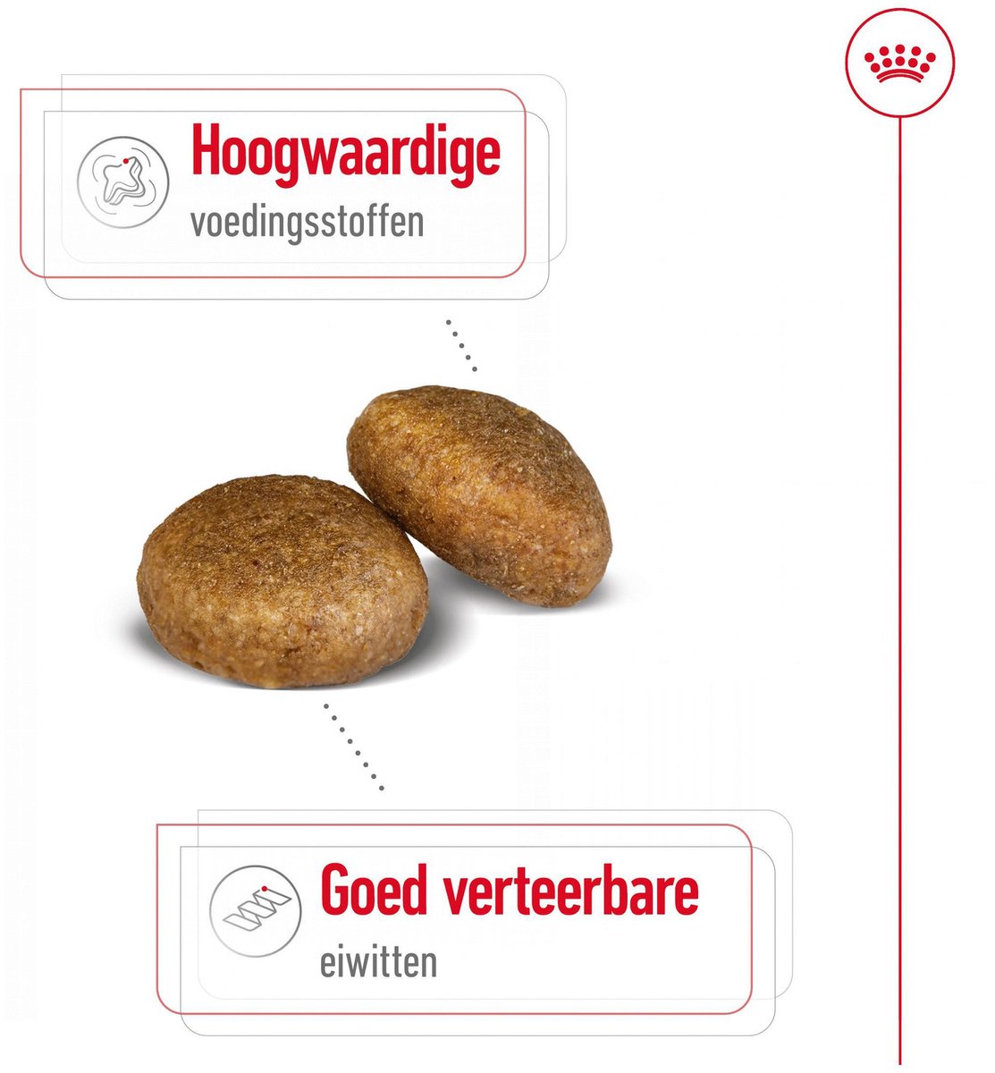 Royal Canin Maxi Adult - Voeding grote honden thumbnail 5