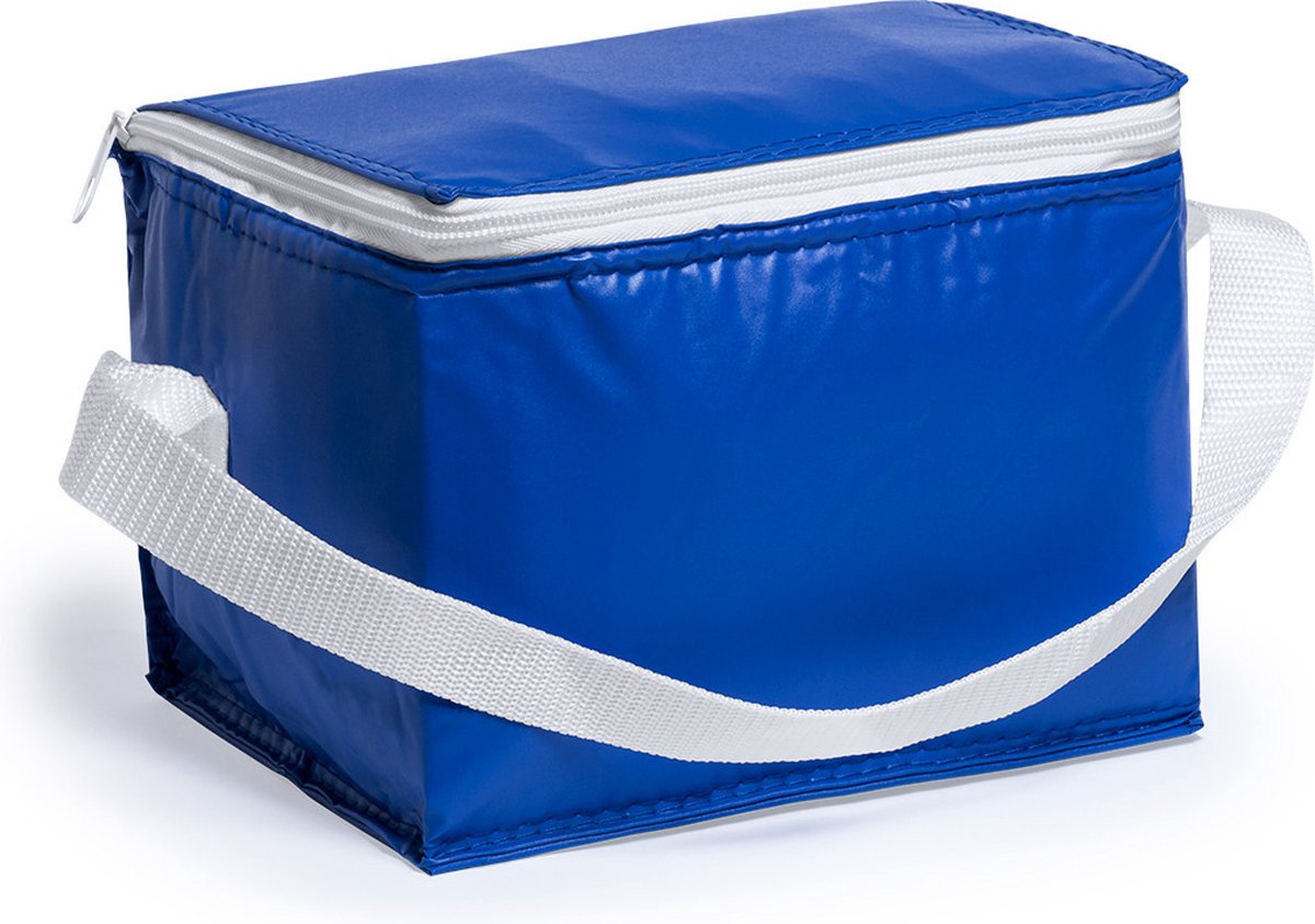 Mini koeltas blauw/wit - PVC - voor 6 blikjes - sixpack - 3,2 liter - 21 x 15 x 15 cm - lunchtasjes