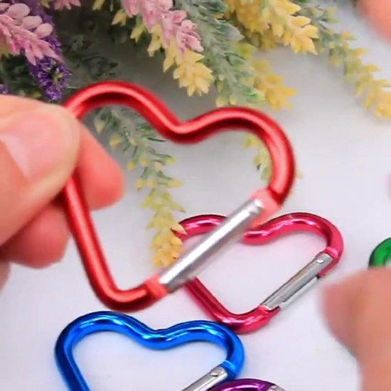 Temlum Aluminium karabijnhaken, 2,5 cm mini-karabijnhaak, karabijnhaken met kliksluiting, sleutelhanger haken voor kamperen, reizen, wandelen (10 stuks