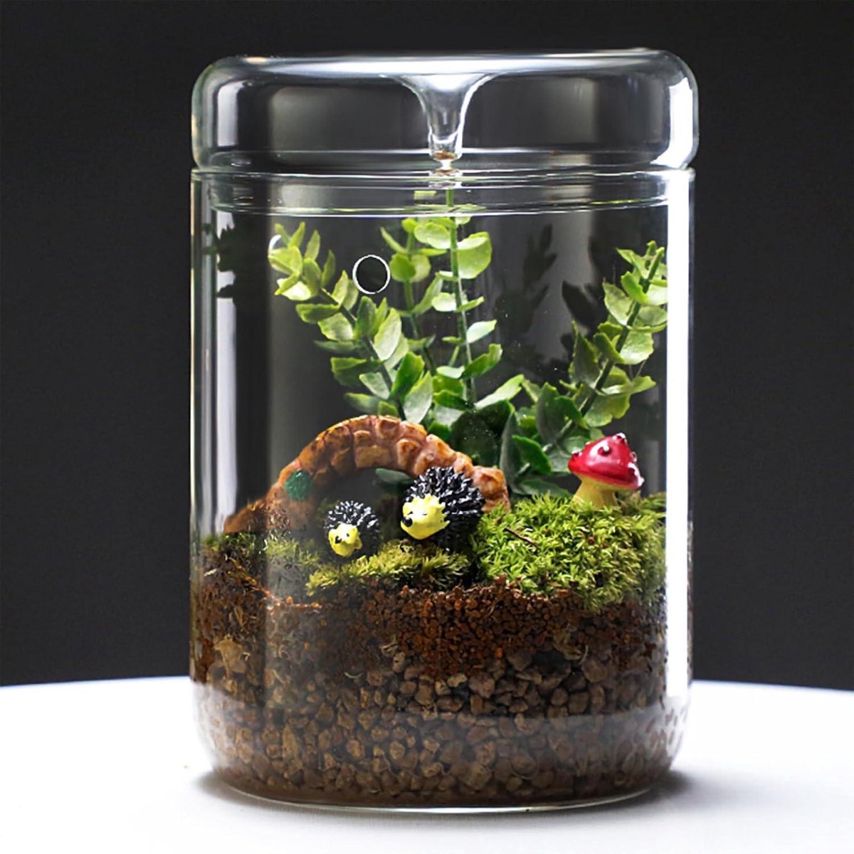 OGANAZI Mini plantenterrarium, glas, vetplantenpot, heldere koepel met 3 mm luchtgat, decoratieve bel met glazen bodem, tafeldecoratie, cadeau voor kantoor, werkkamer, woonkamer OGANAZI Mini plantenterrarium, glas, vetplantenpot, heldere koepel met 3 mm luchtgat, decoratieve bel met glazen bodem, tafeldecoratie, cadeau voor kantoor, werkkamer, woonkamer