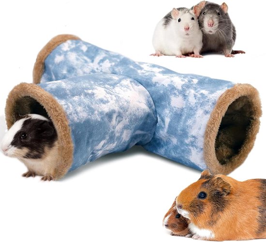 Nieuwe buitenverblijven voor de konijnen en cavia’s van het Dordrechts