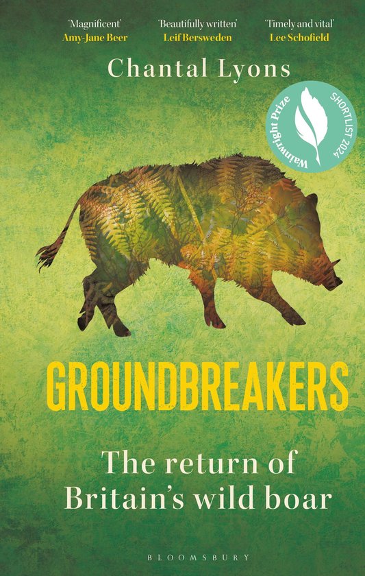 Groundbreakers - cover