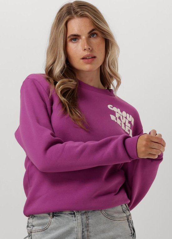 Oversized Sweater Colourful Rebel Sweater Dames Colourful Rebel