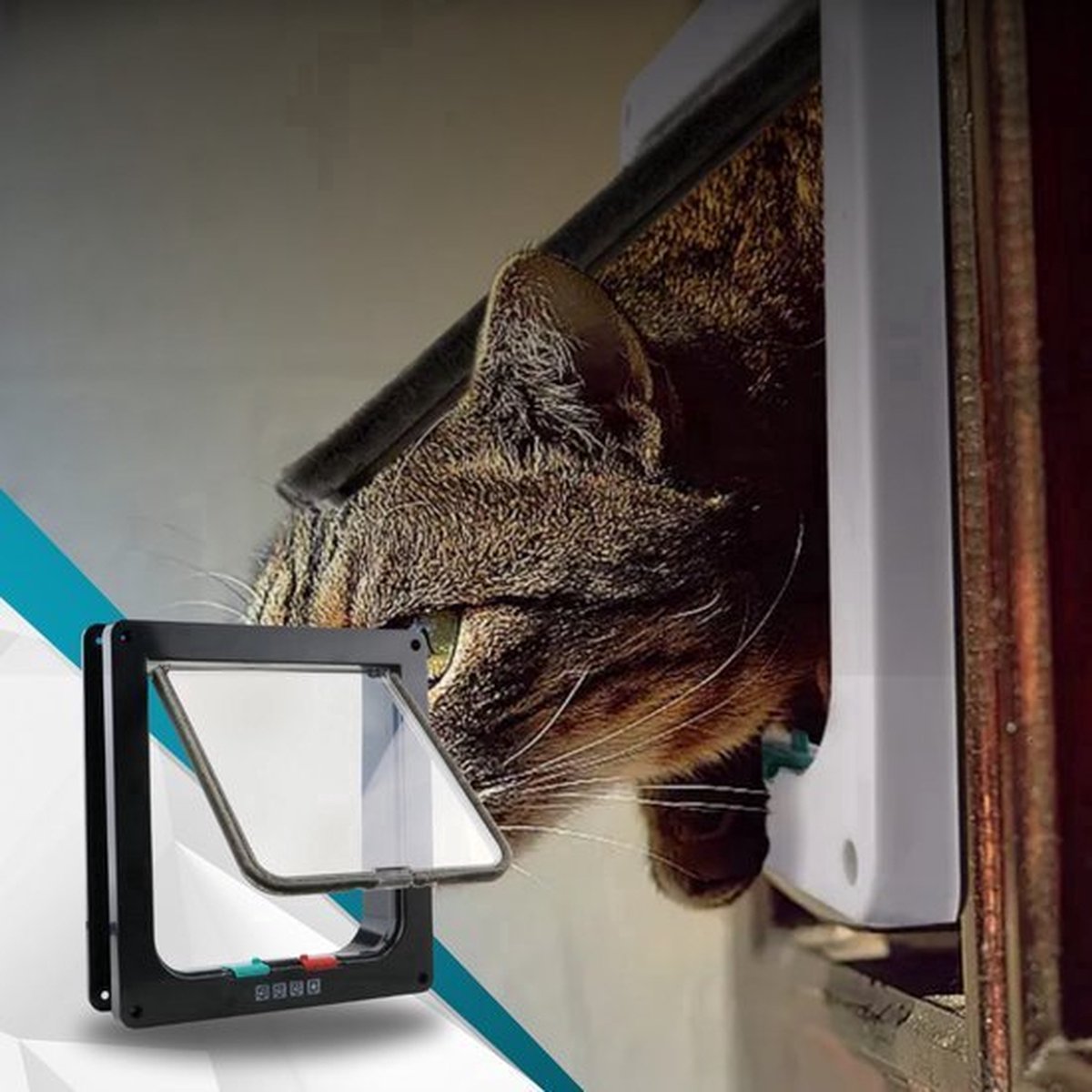 Premium Kattenluik XL Zwart – 4 sluitstanden, anti-tocht thumbnail 3