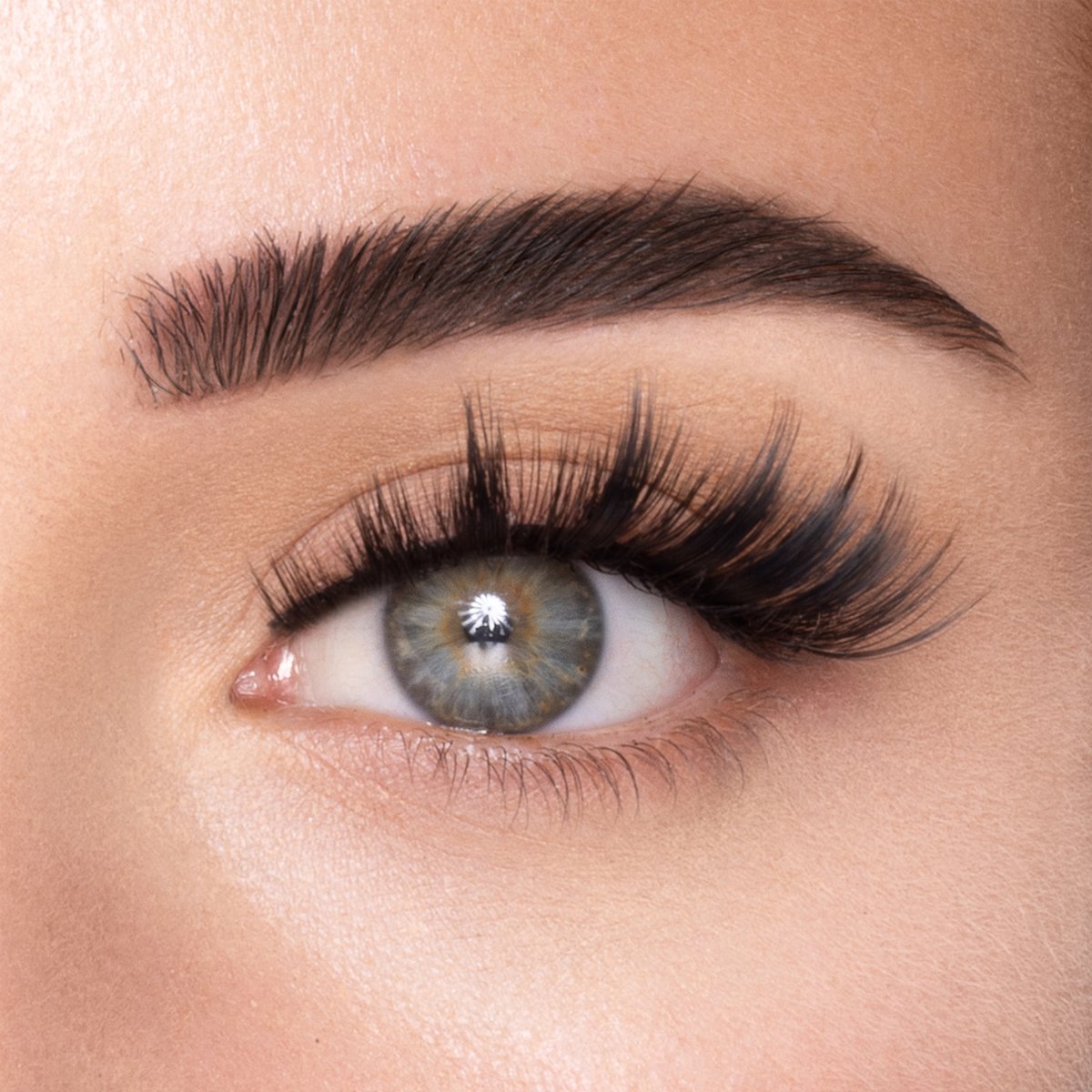 Bol.com Magnetische Wimpers met Magnetische Eyeliner en Applicator - Aanbrengen in 2 Minuten - 50x Herbruikbaar - Blijft Hele Da... aanbieding