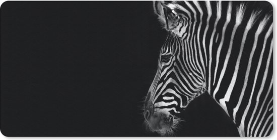 Zwart-wit portret van een zebra met kenmerkende strepen, op een zwarte achtergrond. De mat is leeg aan de linkerkant.