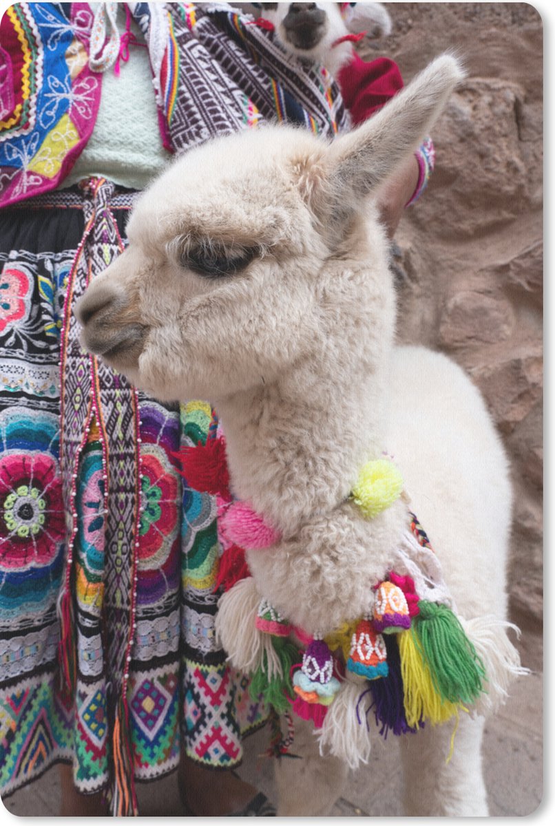 Muismat Alpaca - Baby alpaca met ketting muismat rubber - 40x60 cm - Muismat met foto