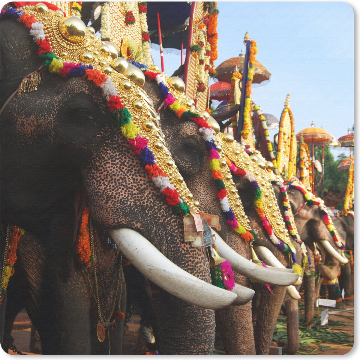 Muismat 30x30 cm - Mousepad Olifant - Parade - Dieren - Muismatten