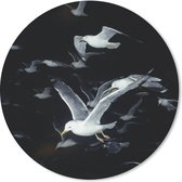 Muismat - Mousepad - Rond - Vogel - Zwart - Zwerm - 30x30 cm - Ronde muismat