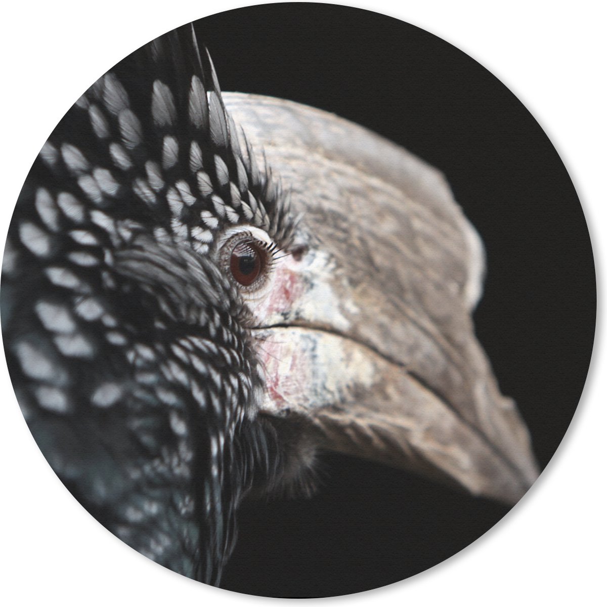 Muismat rond 40x40 cm - Mousepad Vogel - Snavel - Veren - Ronde muismatten