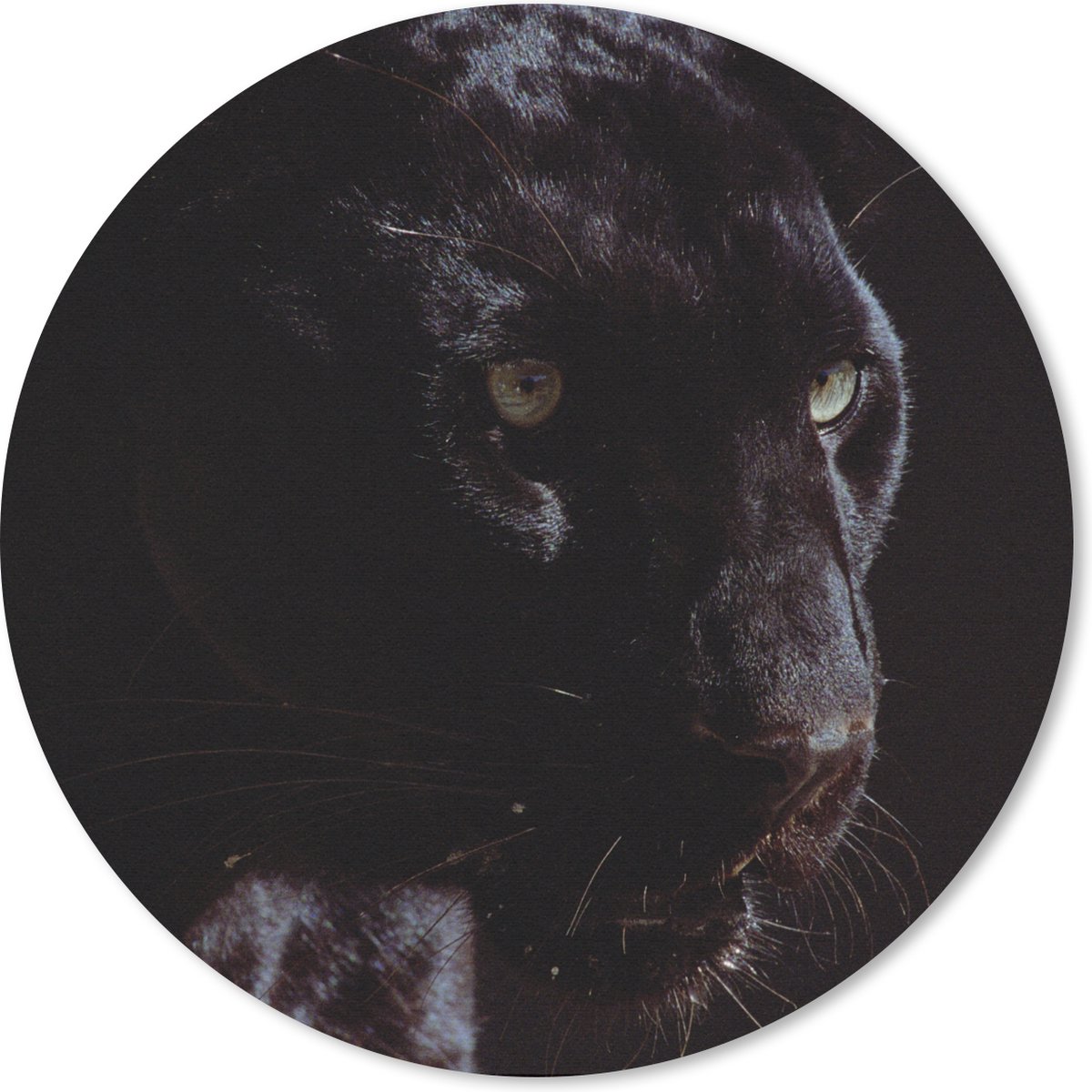 Muismat rond 30x30 cm - Mousepad Panter - Dier - Zwart - Ronde muismatten