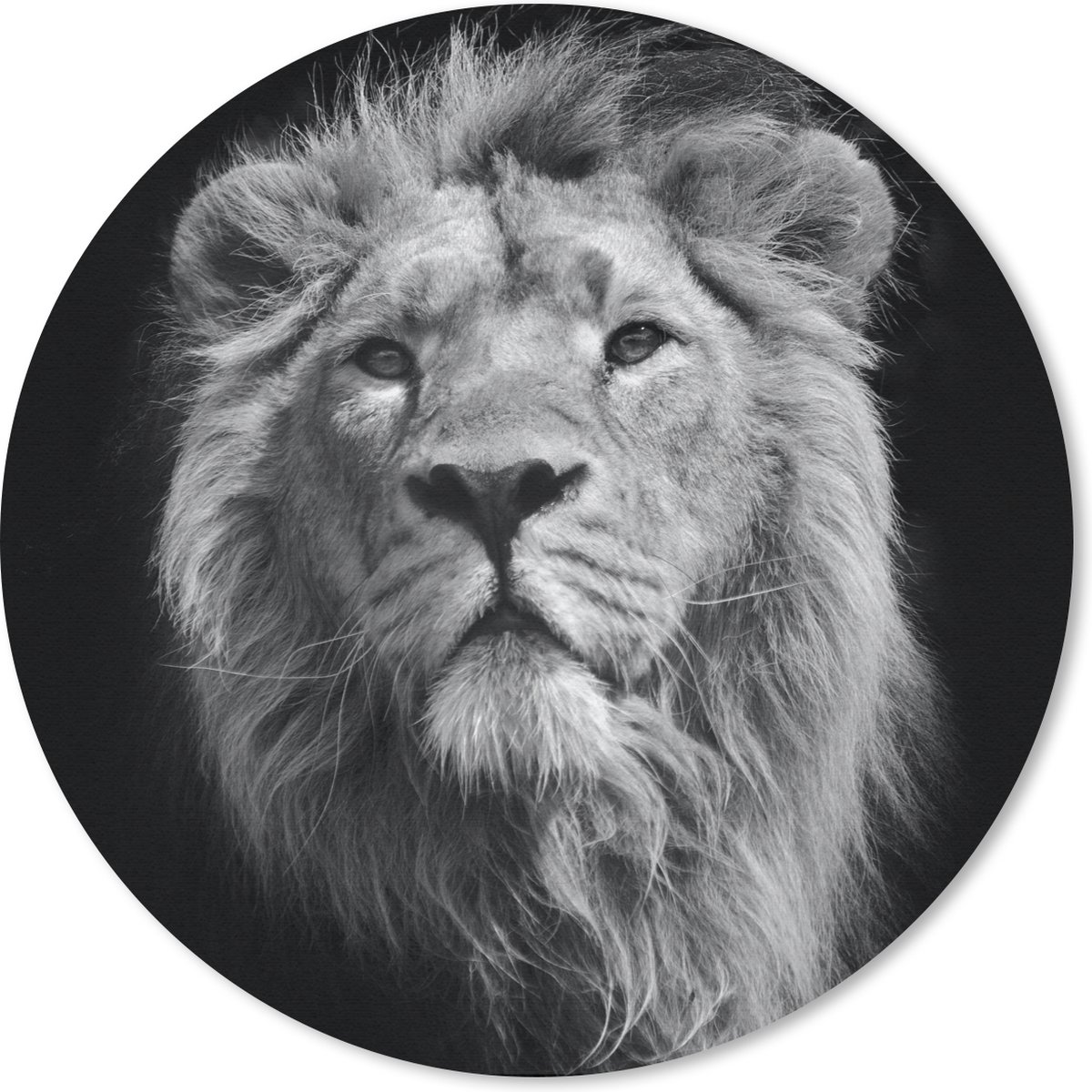 Muismat rond 50x50 cm - Mousepad Leeuw - Portret - Zwart - Wit - Ronde muismatten