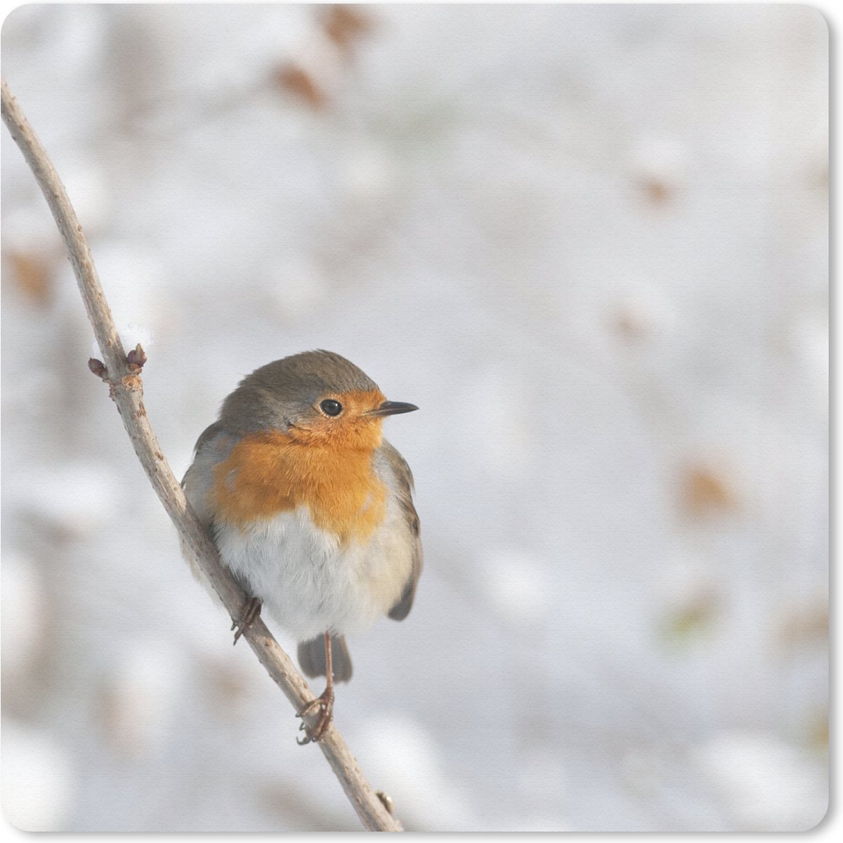 Muismat 30x30 cm - Mousepad Vogel - Roodborstje - Winter - Muismatten