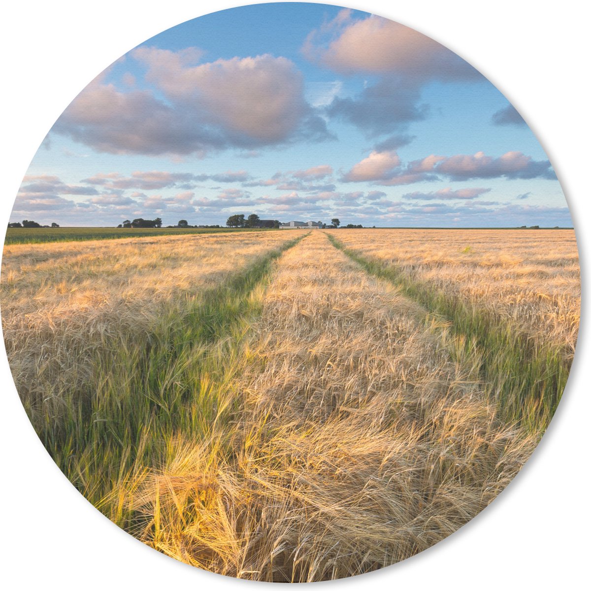 Muismat rond 40x40 cm - Mousepad Gerstvelden in Groningen - Ronde muismatten