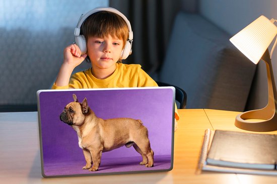 Sticker pour ordinateur portable - 10,1 pouces - Bouledogue français avec un fond violet