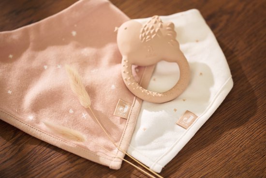 Jollein - Slab Bandana - Katoen - Slabbetjes Baby - 2 Stuks - Twinkling Wild Rose - 2 Stuks van Jollein — afbeelding 4