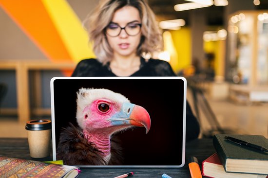 Sticker pour ordinateur portable - 15,6 pouces - Vautour - Vogel - Bec