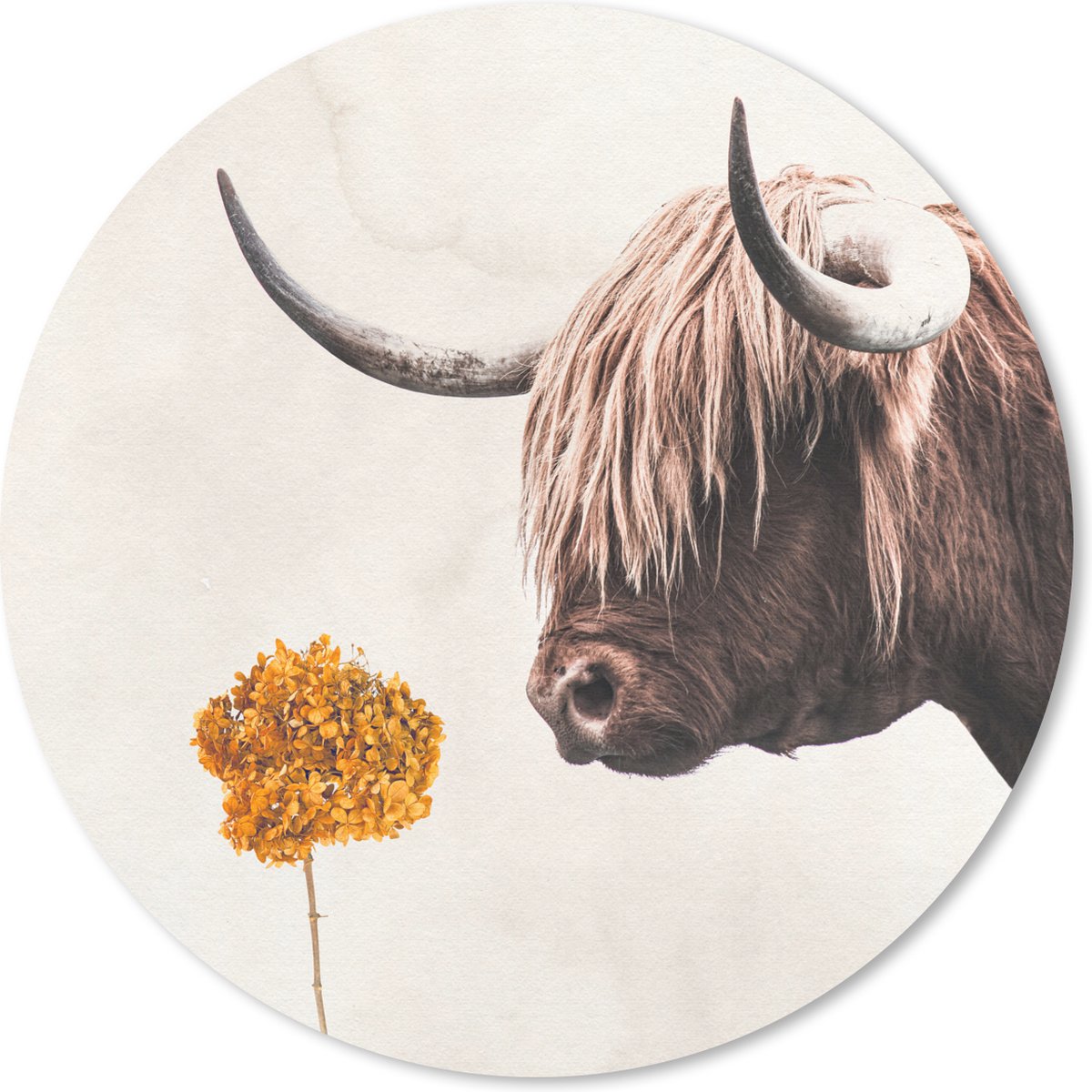 Muismat rond 40x40 cm - Mousepad Schotse hooglander - Koe - Bloem - Ronde muismatten