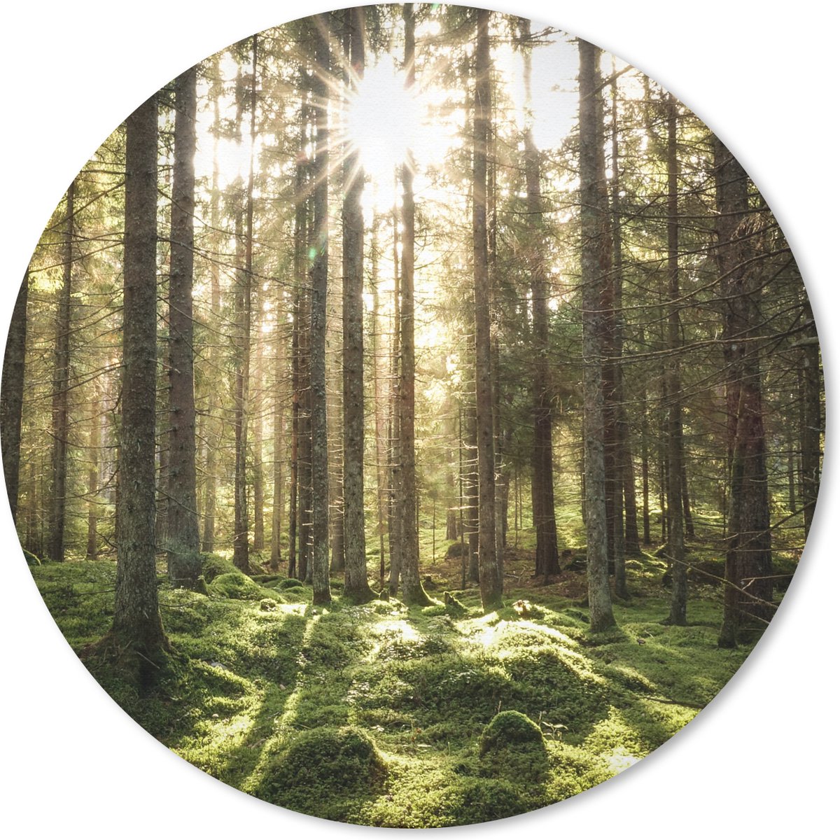 Muismat rond 50x50 cm - Mousepad Bos - Mos - Boom - Ronde muismatten